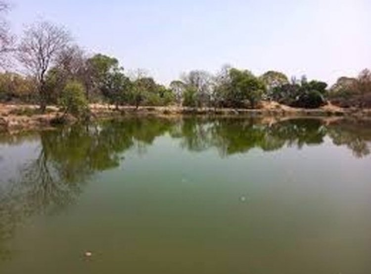 बलौदाबाजार को मिला विकास का तोहफ़ा : रामसागर तालाब संवर्धन एवं सेंट्रल लाइटिंग कार्यों के लिए 641 लाख रुपए स्वीकृत