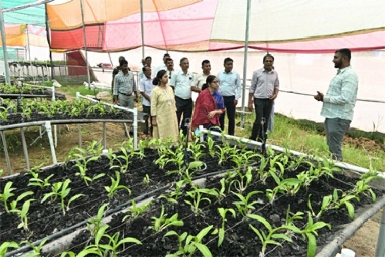 विकास की नई इबारत: धमतरी में बदलते ग्रामीण परिदृश्य की कहानी