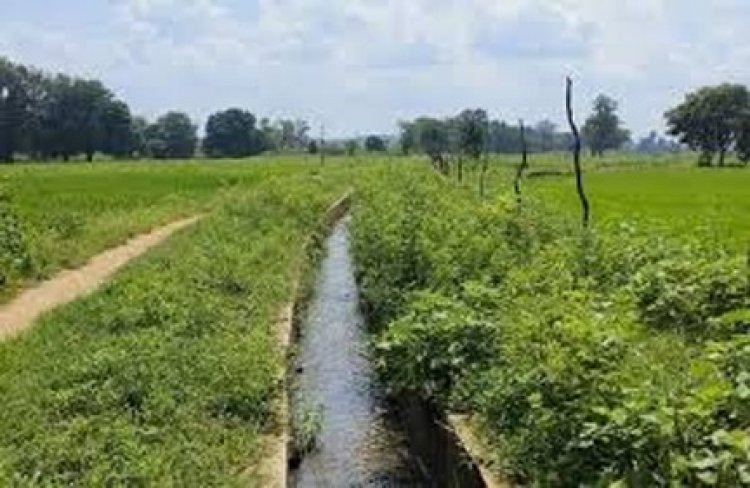 पीपरछेड़ी जलाशय योजना के लिए 84.94 करोड़ रुपये स्वीकृत