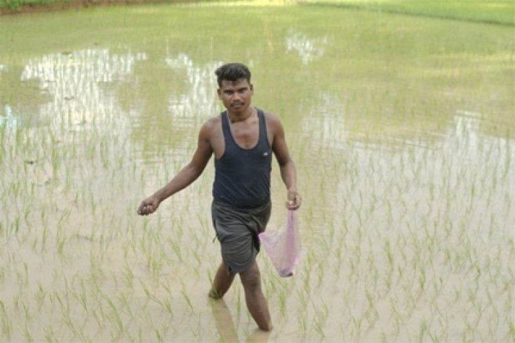 समय पर मिले खाद-बीज से युवा किसान बृजपाल की खेती हुई आसान