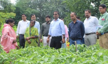 जैविक खेती से आत्मनिर्भरता की ओर महिला किसान गोपिका प्रधान