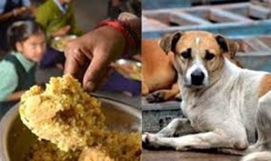 जूठा भोजन परोसने के मामले में प्रशासन की बड़ी कार्रवाई