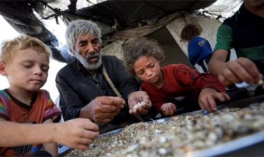 इजरायली फायरिंग में खाद्य सामग्री लेने आए 26 फलीस्तीनी मारे गए और दर्जनों घायल हुए