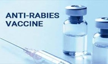 बस्तर संभाग में एंटी रेबीज वैक्सीन की पर्याप्त उपलब्धता