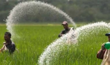 छत्तीसगढ़ को मिलेगा 50-50 हजार टन अतिरिक्त DAP और यूरिया, किसानों को राहत