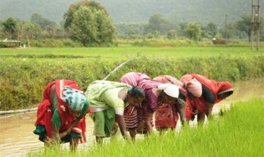 समय पर मिला खाद, खिल उठी उम्मीदें