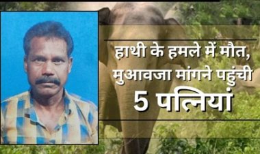 हाथी के हमले में मौत के बाद मुआवजे पर दावा करने के लिए 5 महिलाएं सामने आ गई