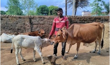 डेयरी उद्यमिता विकास योजना से सुखसागर की जिंदगी में आया बदलाव