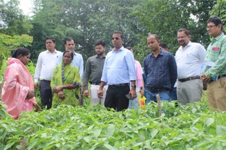 जैविक खेती से आत्मनिर्भरता की ओर महिला किसान गोपिका प्रधान