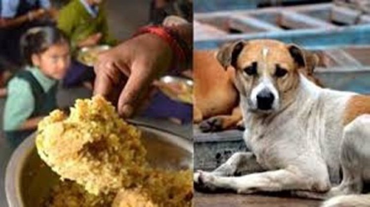 जूठा भोजन परोसने के मामले में प्रशासन की बड़ी कार्रवाई