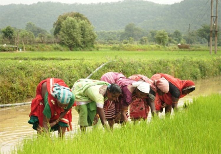 समय पर मिला खाद, खिल उठी उम्मीदें