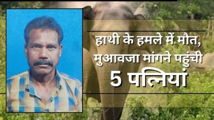 हाथी के हमले में मौत के बाद मुआवजे पर दावा करने के लिए 5 महिलाएं सामने आ गई