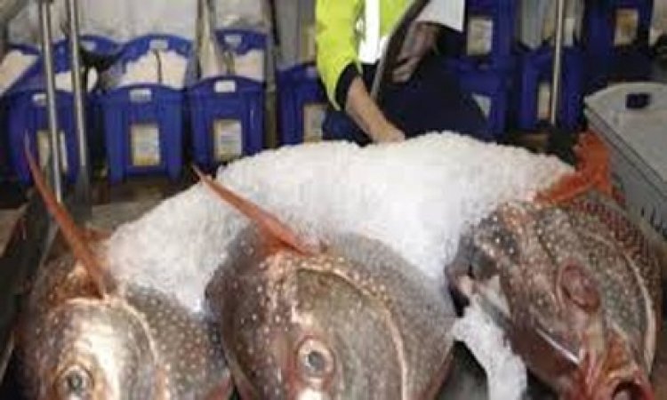 मत्स्य निरीक्षक के 70 रिक्त पदों के पूर्ति के लिए अभ्यर्थियों के अंतिम चयन सूची जारी