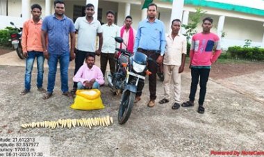 बांस करील के अवैध परिवहन पर कार्रवाई आरोपी गिरफ्तार