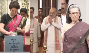 उपराष्ट्रपति चुनाव में वोटिंग करने खरगे का हाथ थाम पहुंचे गडकरी