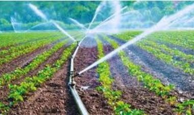 कोरबा जिले की दो सिंचाई योजना के लिए 6.33 करोड़ रुपयें से अधिक राशि स्वीकृत