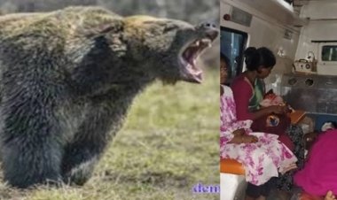 भालू के हमले में घायल गर्भवती ने 'महतारी एक्सप्रेस' में दिया शिशु को जन्म