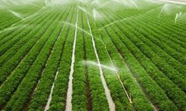 मुंगेली की दो सिंचाई योजनाओं के लिए 5.91 करोड़ रूपए से अधिक स्वीकृत