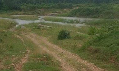 भालूमुंडा-खेजूरघाट मार्ग पर कोकिया नदी पर बनेगा 3 करोड़ 32 लाख की लागत से उच्च स्तरीय पुल