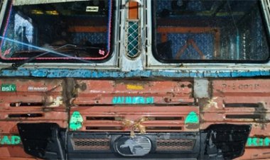 तेज रफ्तार कंटेनर से कुचल कर आठ गायों की मौत