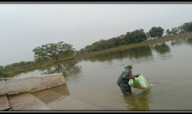 अमृत सरोवर से मिल रही आर्थिक उन्नति