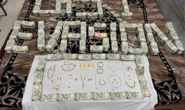 करोड़ों रूपए की जीएसटी चोरी का खुलासा: 170 से अधिक बोगस फर्म बनाकर की जीएसटी चोरी