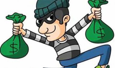 रोजाना मुनाफे का लालच देकर 24 लाख की ठगी