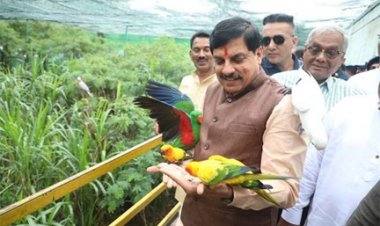 पशु-पक्षी हमारे पर्यावरणीय तंत्र का भी हैं अभिन्न हिस्सा : मुख्यमंत्री डॉ. यादव
