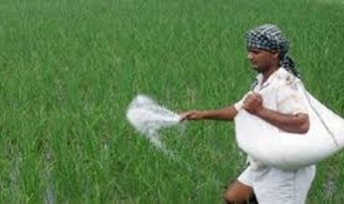 प्रदेश के किसानों को अब तक 8.35 लाख मीट्रिक टन रासायनिक खाद वितरित