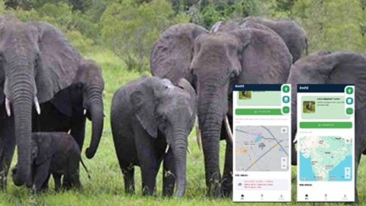छत्तीसगढ़ में अब Mobile App बचाएगा हाथियों से लोगों की जान