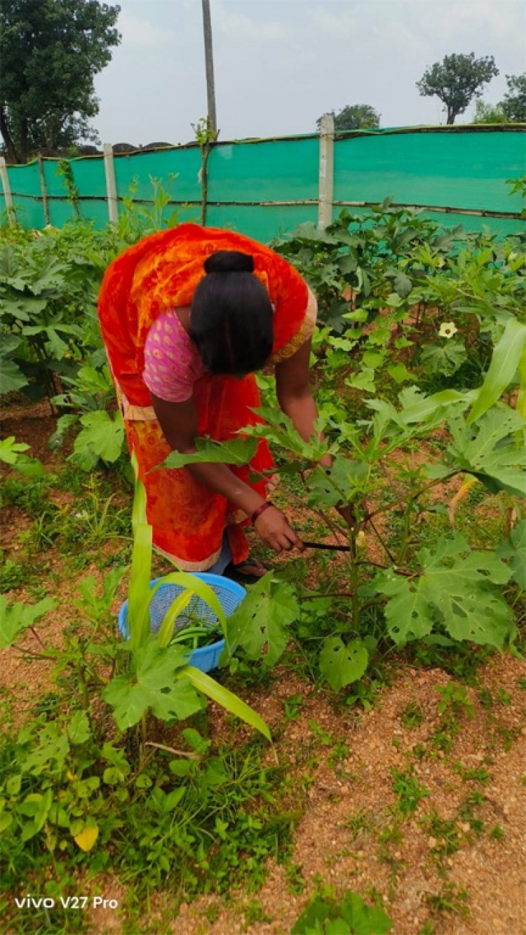किचन गार्डन की अनोखी पहल : बेलडेगी स्कूल के बच्चे अपनी उगाई सब्जियां खा रहे हैं मिड-डे मील में