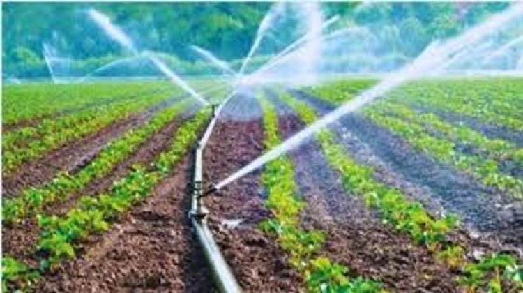 कोरबा जिले की दो सिंचाई योजना के लिए 6.33 करोड़ रुपयें से अधिक राशि स्वीकृत