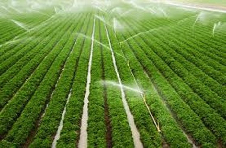 मुंगेली की दो सिंचाई योजनाओं के लिए 5.91 करोड़ रूपए से अधिक स्वीकृत