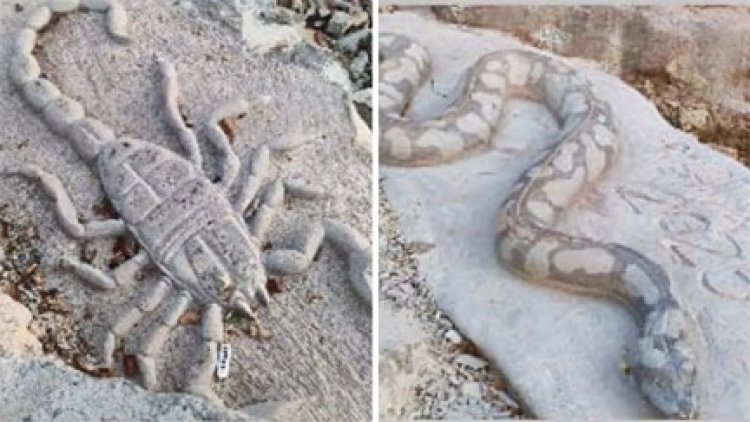 रायपुर से 50km दूर ये चिड़ियाघर बना नया पर्यटन केंद्र