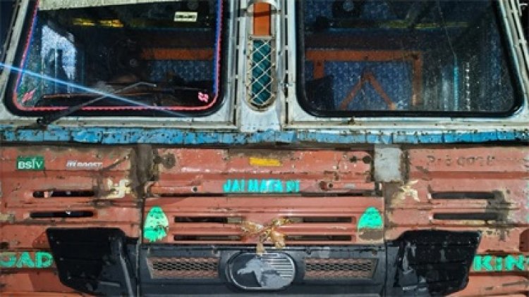 तेज रफ्तार कंटेनर से कुचल कर आठ गायों की मौत