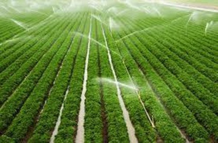 मुंगेली की तीन सिंचाई योजनाओं के लिए 11.80 करोड़ रूपए स्वीकृत