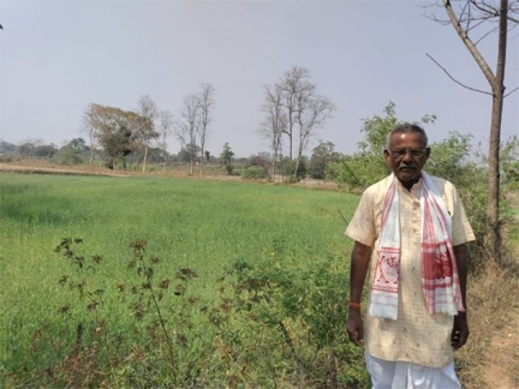 कम लागत से गेहूं की फसल में किसानों को मिलेगा ज्यादा मुनाफा