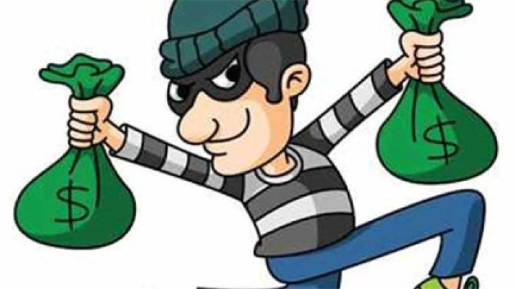 रोजाना मुनाफे का लालच देकर 24 लाख की ठगी