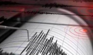 फिलीपींस में जोरदार भूकंप के झटके से भारी तबाही, 27 लोगों की मौत