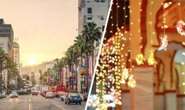 भारतीयों को अमेरिका के इस राज्य ने दिया तोहफा