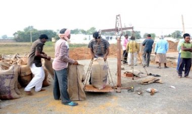 छत्तीसगढ़ में 3100 रुपये प्रति क्विंटल के दर से होगी धान खरीदी