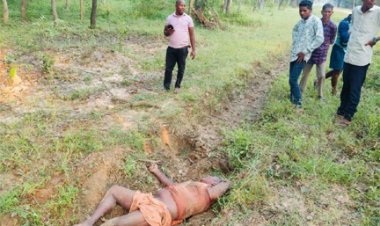 हाथी के हमले से बुजुर्ग की मौत