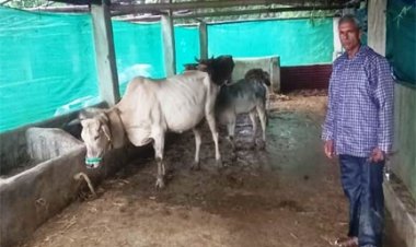 मनरेगा से बदली किस्मत : साय सरकार की योजनाओं से रामफल बने आत्मनिर्भर किसान