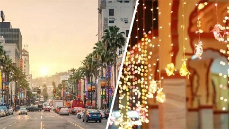 भारतीयों को अमेरिका के इस राज्य ने दिया तोहफा