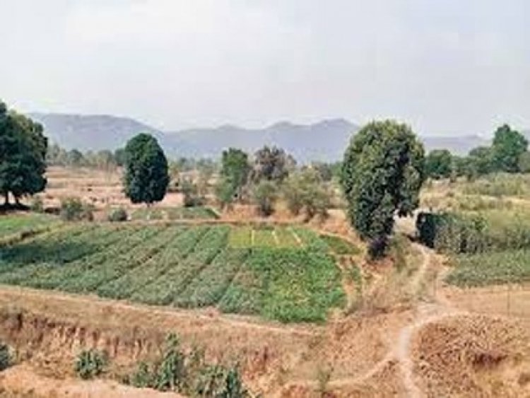 ईब व्यपवर्तन योजना के कार्यों के लिए 37 करोड़ रूपए से अधिक स्वीकृत