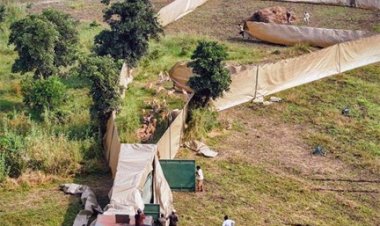 सेवा भाव और वन्य जीव संरक्षण का प्रतीक है देश का पहला हाई-टेक वन्य जीव कैप्चर अभियान : मुख्यमंत्री डॉ. यादव