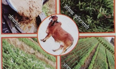 कृषि विश्वविद्यालय में प्राकृतिक खेती पर राष्ट्रीय संगोष्ठी कल