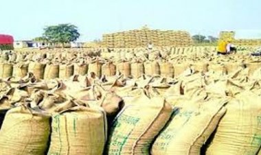 राज्य में अवैध धान की आवाजाही रोकने प्रशासन सक्रिय, सीमावर्ती चेकपोस्टों पर कड़ी निगरानी