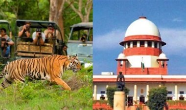 टाइगर रिज़र्व संचालन और मानव-वन्यजीव संघर्षों पर सुप्रीम कोर्ट का फैसला