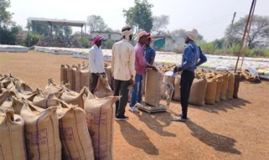 बालोद जिले में समर्थन मूल्य पर धान खरीदी कार्य सफलतापूर्वक जारी